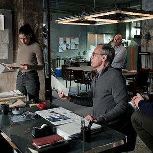 Photo La Red Púrpura