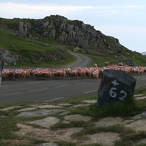 Photo Le Plus vieux serment d’Europe