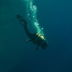 Photo The Dive