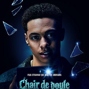 Photo Chair de poule