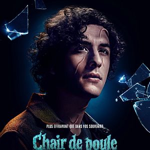 Photo Chair de poule