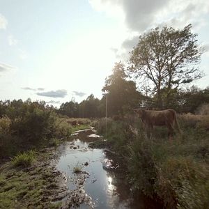 Photo La Vérité du sol