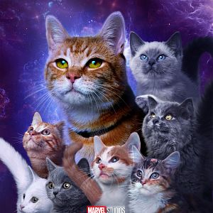 Photo The Marvels