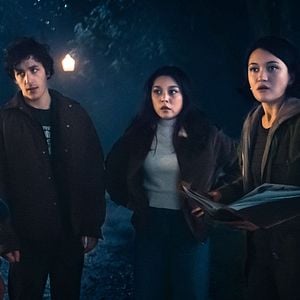 Photo Chair de poule