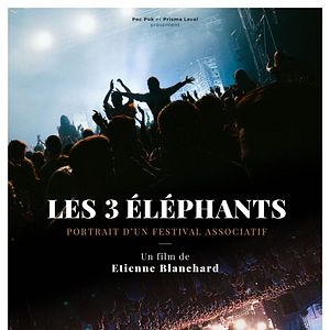 Photo Les 3 éléphants : portrait d’un festival associatif