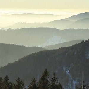 Photo A l'abri des activités humaines