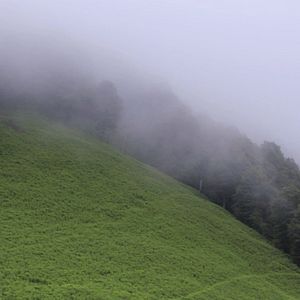 Photo A l'abri des activités humaines