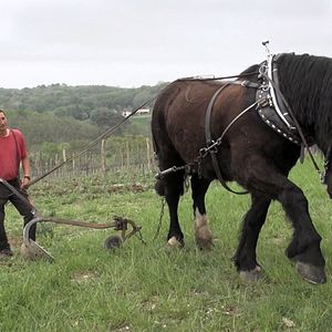 Photo Prendre soin de la Terre