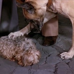 Photo La Croisière s'amuse