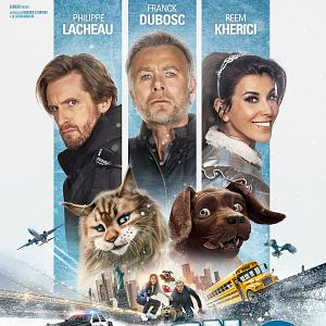 Photo Chien & Chat