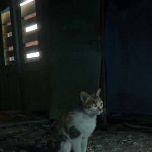 Photo Les Animaux vont mieux