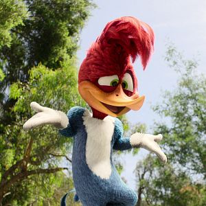 Photo Woody Woodpecker : Alerte en colo