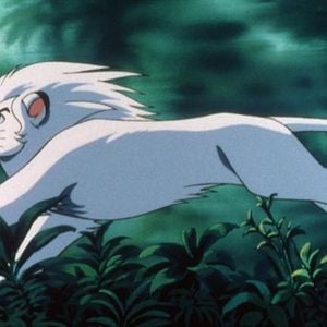 Photo Janguru taitei