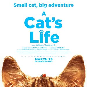 Photo Mon chat et moi, la grande aventure de Rroû