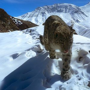 Photo Earthsounds : les sons de la Terre