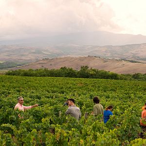 Photo The Reluctant Traveler with Eugene Levy