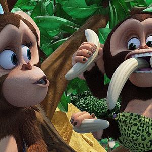 Photo Madagascar : la savane en délire