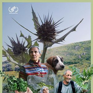 Photo Foragers