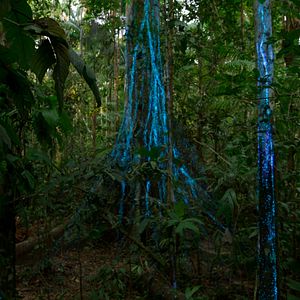 Photo Notre monde vivant