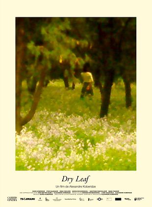 poster du film Bande-annonce Dry Leaf
