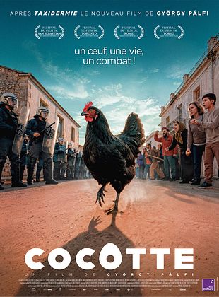 voir Cocotte streaming gratuit