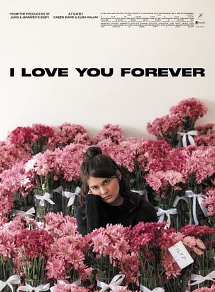 poster du film I Love You Forever