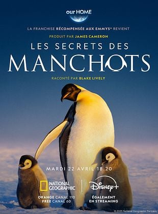 poster de la série Les Secrets des manchots