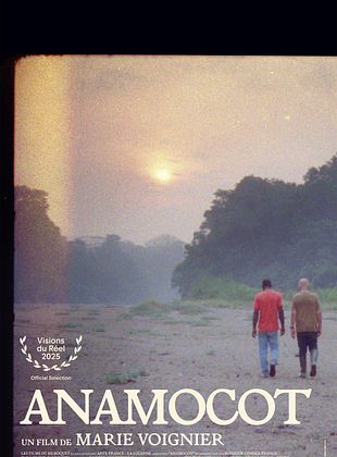poster du film Anamocot La réponse de la mygale