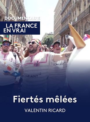 poster du film Fiertés Mêlées