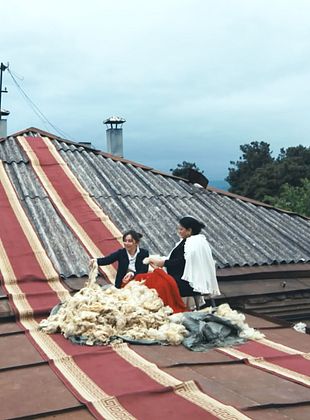 poster du film Les Enfants de Popodia