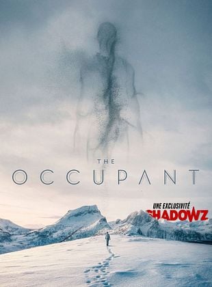 poster du film The Occupant