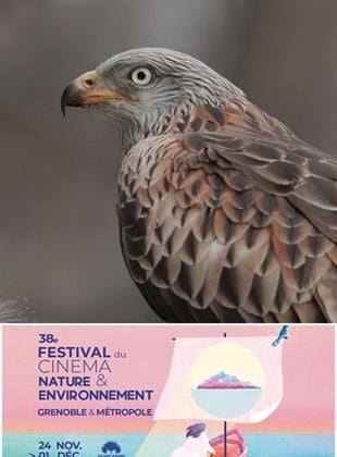 Solidarité : Action Réaction – Festival du Cinéma Nature et Environnement  2024