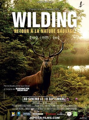 poster du film Bande-annonce Wilding, Retour � la Nature Sauvage
