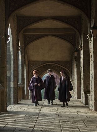 Harry Potter à l'école des sorciers