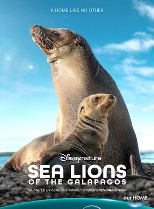 poster du film Bande-annonce Otaries des Galápagos