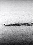 The Loch Ness Monster : Proof at Last !