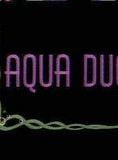 Aqua Duck