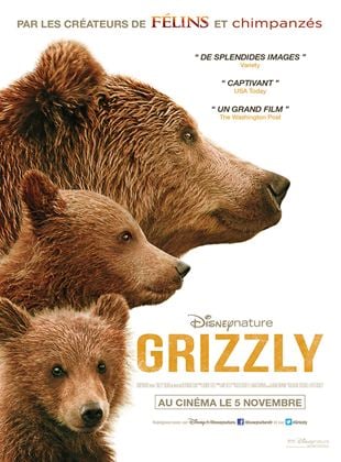 Grizzly streaming