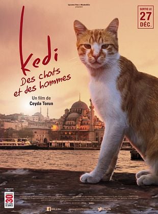 poster du film Bande-annonce Kedi - Des chats et des hommes