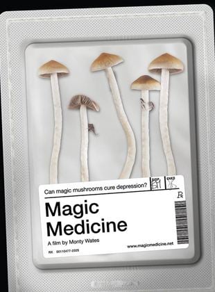 Magic Medicine : Les champignons contre la dépression