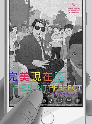 poster du film Wan mei jin xing shi