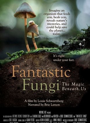 poster du film Fantastic Fungi