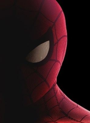 Marvel Sony Untitled Spider-Man: Far From Home Sequel
