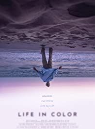 poster du film La vie en couleur