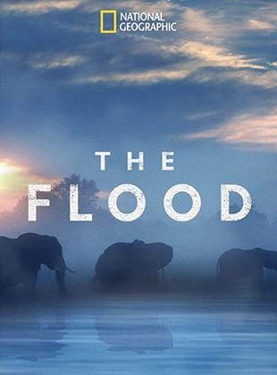 The Flood - Survie au fil de l'eau  [...]