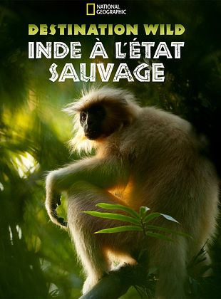 poster de la série Destination Wild : Inde à l'État Sauvage