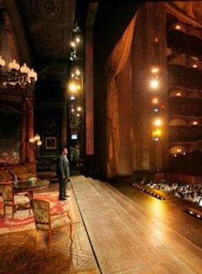 The Metropolitan Opera : The Audition