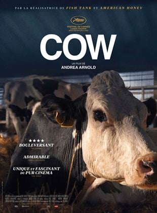 Bande-annonce Cow