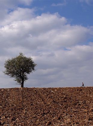 poster du film Retour à la terre