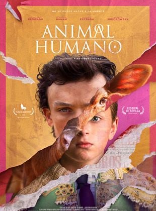 Animale umano